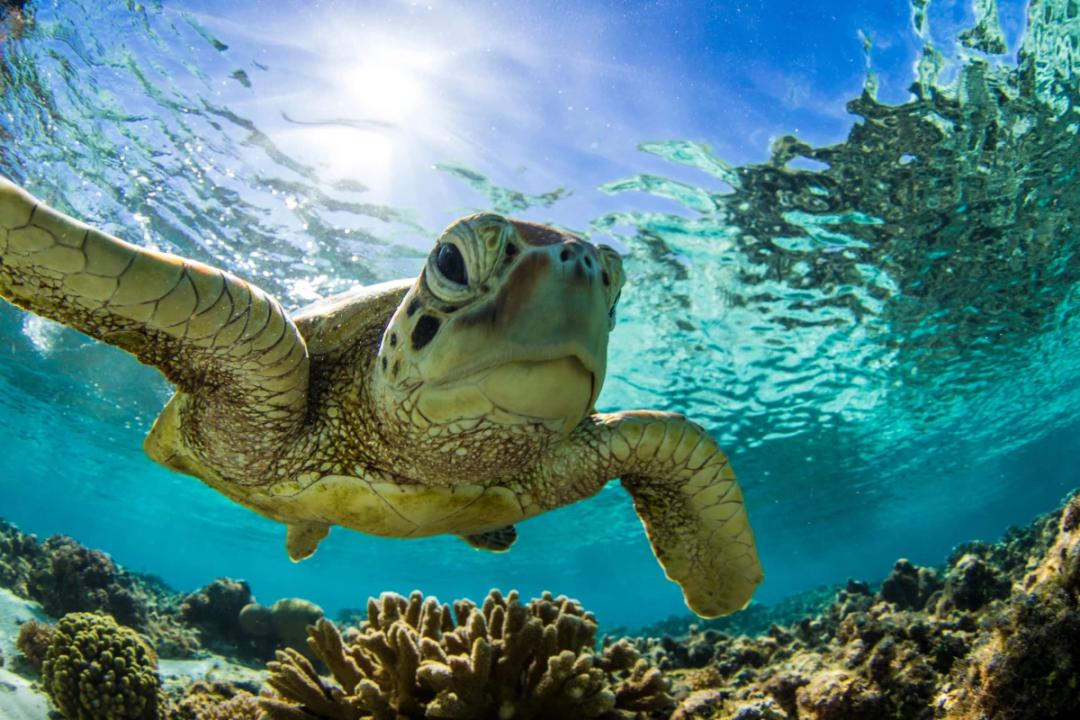 https://media.leisurecom.com/cruise/image-2025-08-08-09-17-49.webp