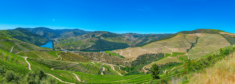 Douro Delights
