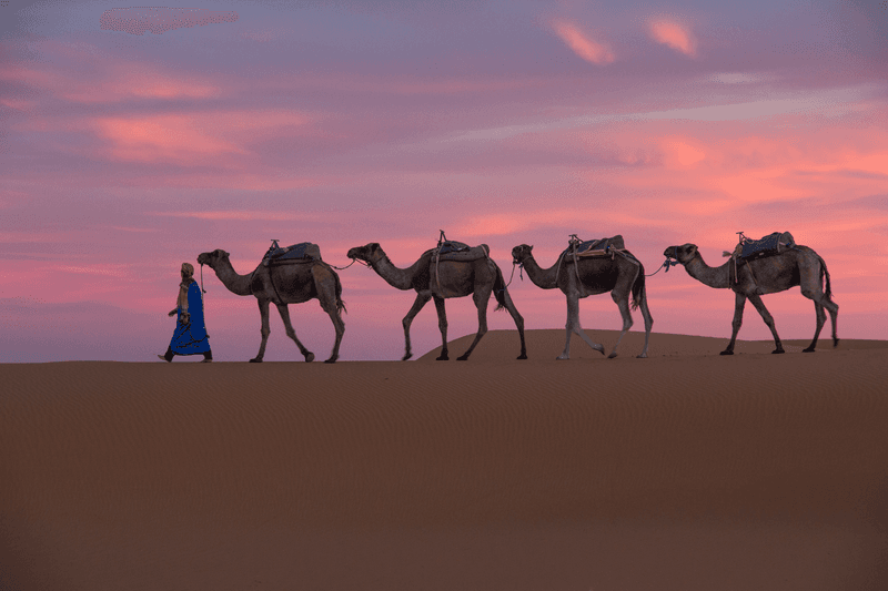 Magical Morocco