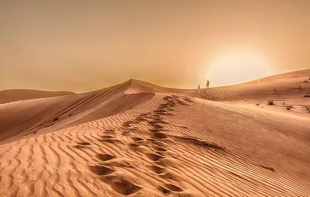 Abu Dhabi Stopover