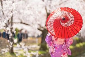 Classic Japan