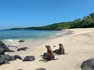 Ecuador and Galapagos Island Hopper