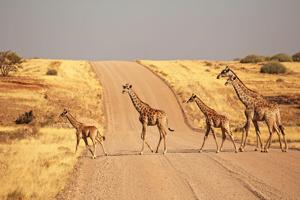 Nomadic Namibia 35 to 45