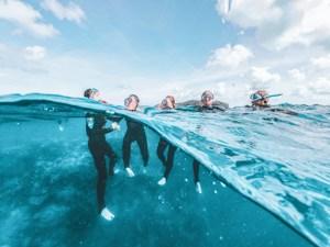 Great Barrier Reef Explorer