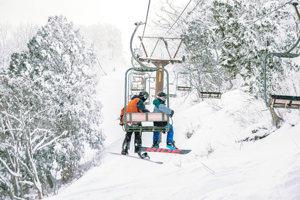 Japan Winter Wonder