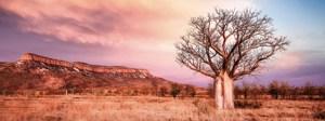 Wonders of the West Coast and Kimberley