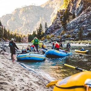 Yellowstone and Grand Tetons
