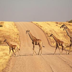 Nomadic Namibia 35 to 45